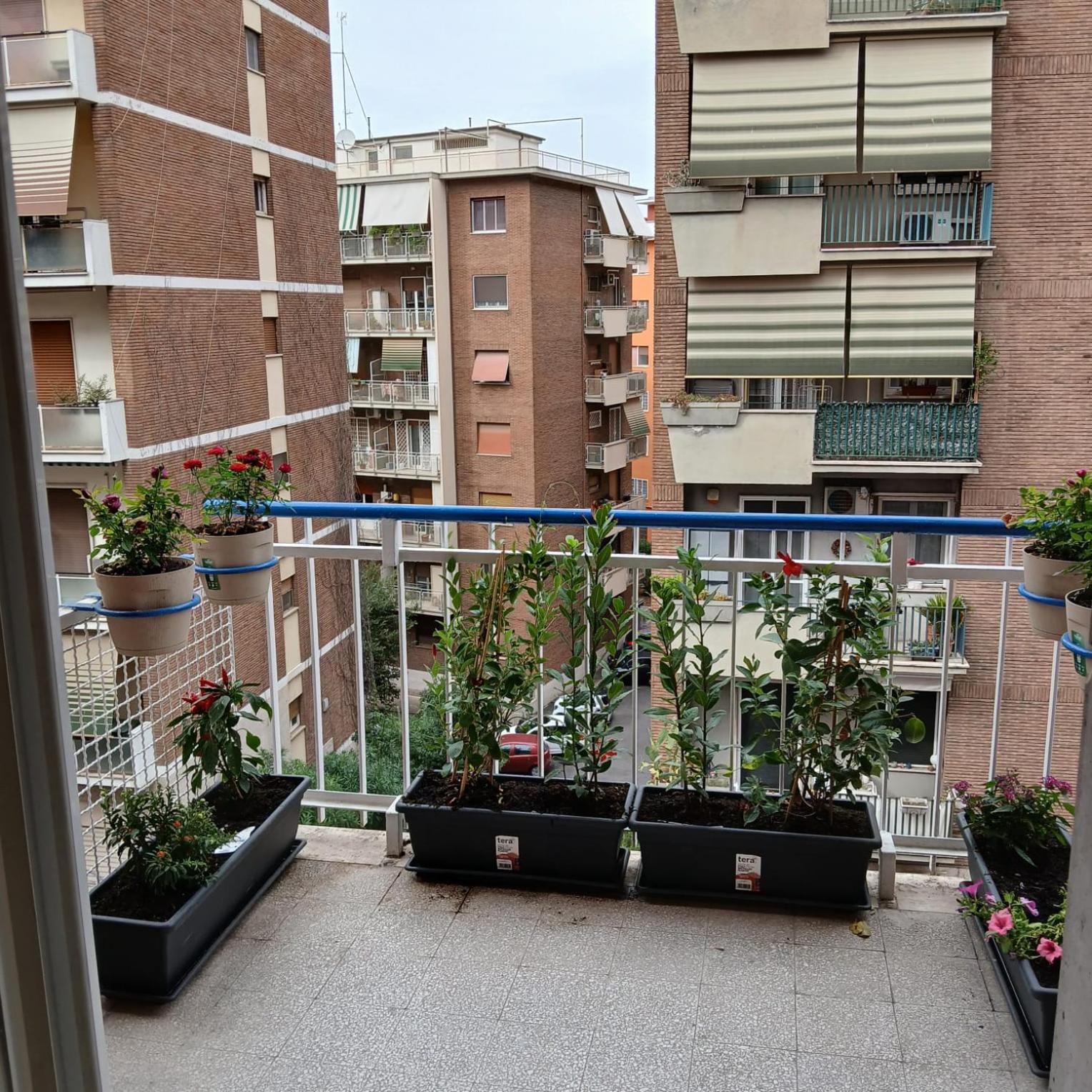 Grand Nomentana Roma Apartment Exterior foto